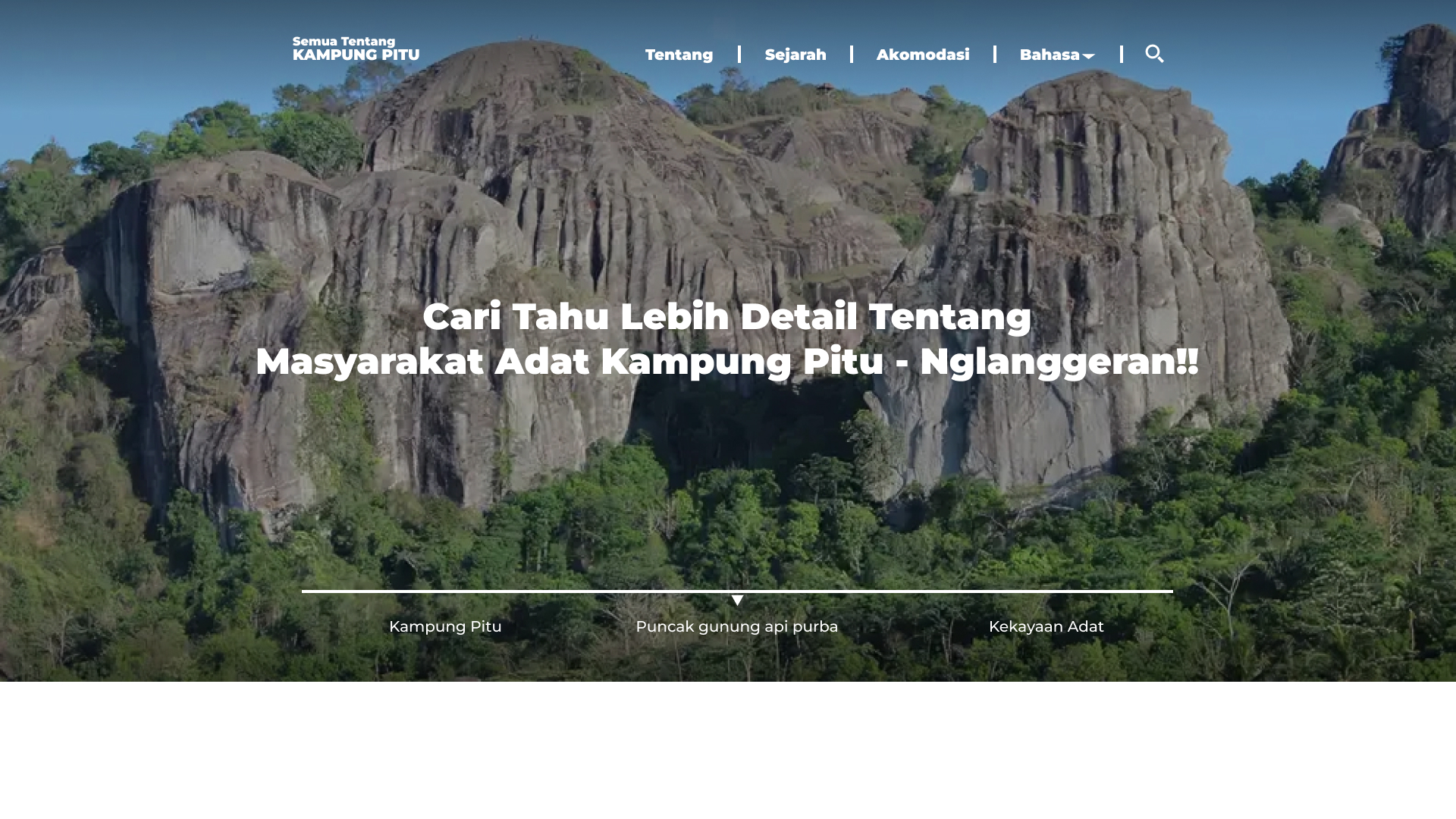 Website